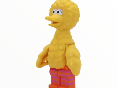 Big Bird For Discount