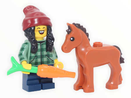 LEGO Series 22: Horse and Groom Online Sale