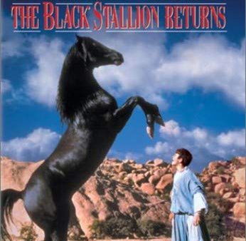 THE BLACK STALLION RETURNS Hot on Sale