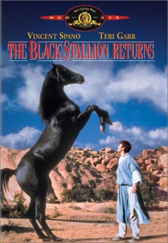 THE BLACK STALLION RETURNS Hot on Sale